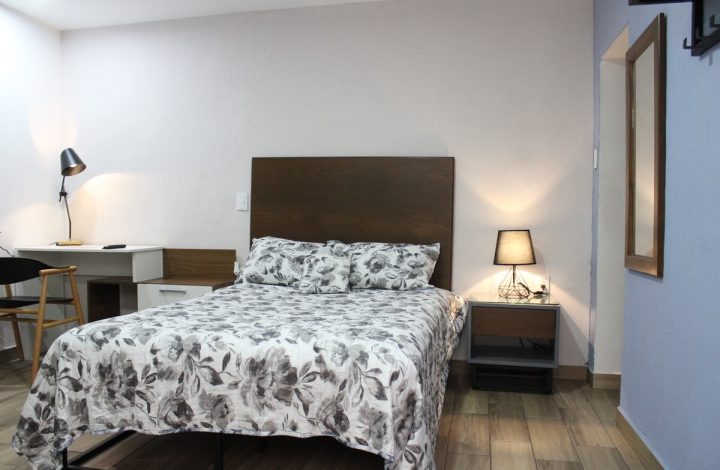 Loft 2  Planta baja – 1 cama matrimonial